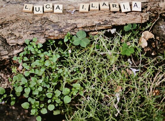 engagement video luca ilaria preview