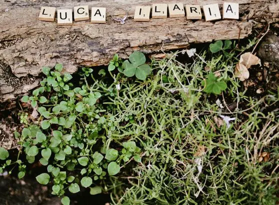 engagement video luca ilaria preview
