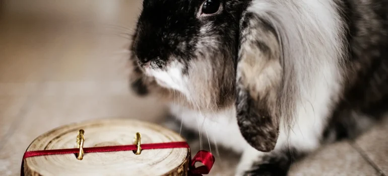 fotoreportage di matrimonio 4