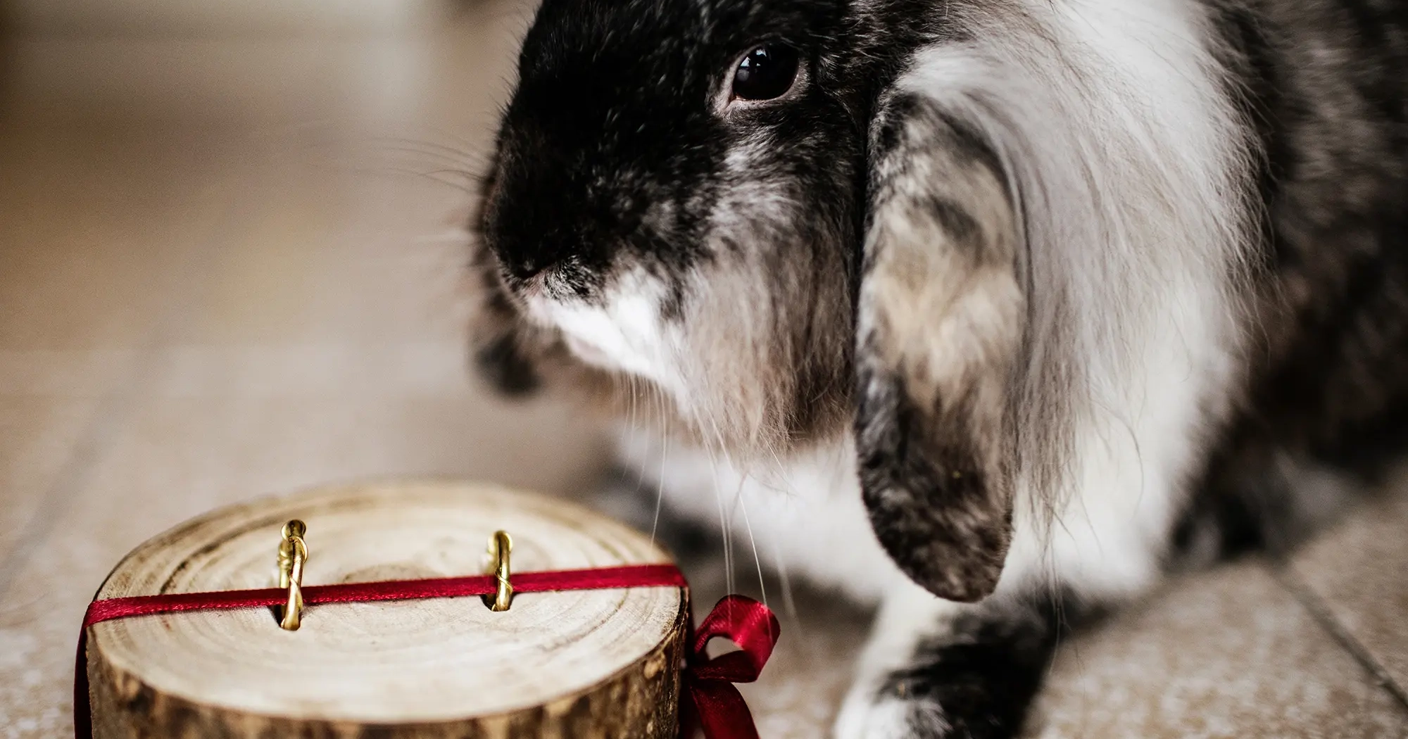fotoreportage di matrimonio 4
