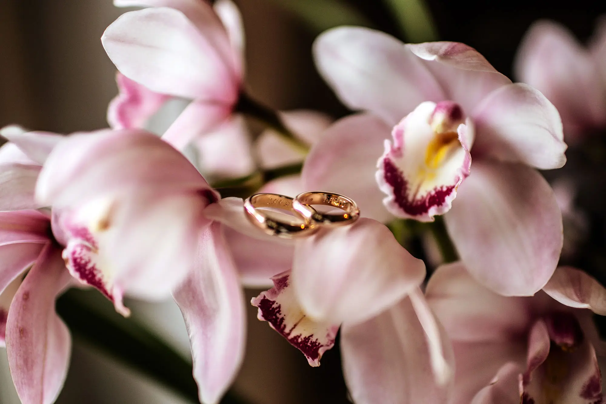 real wedding s f 29