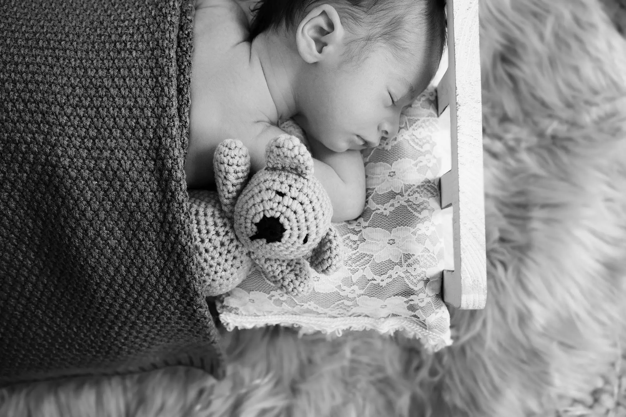 servizio newborn 6 1