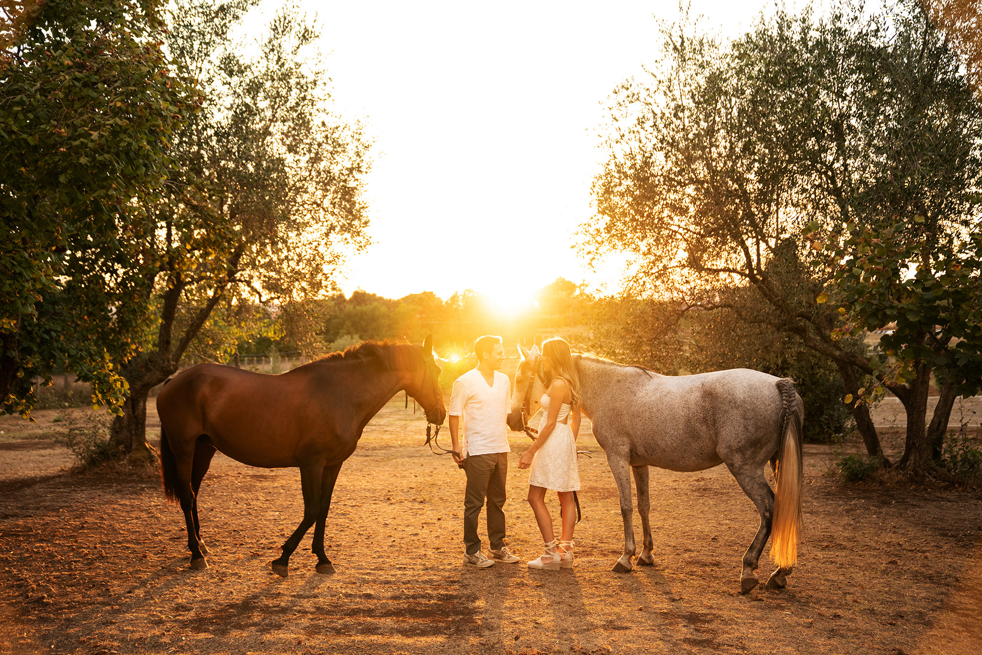 M V prematrimoniale roma 7