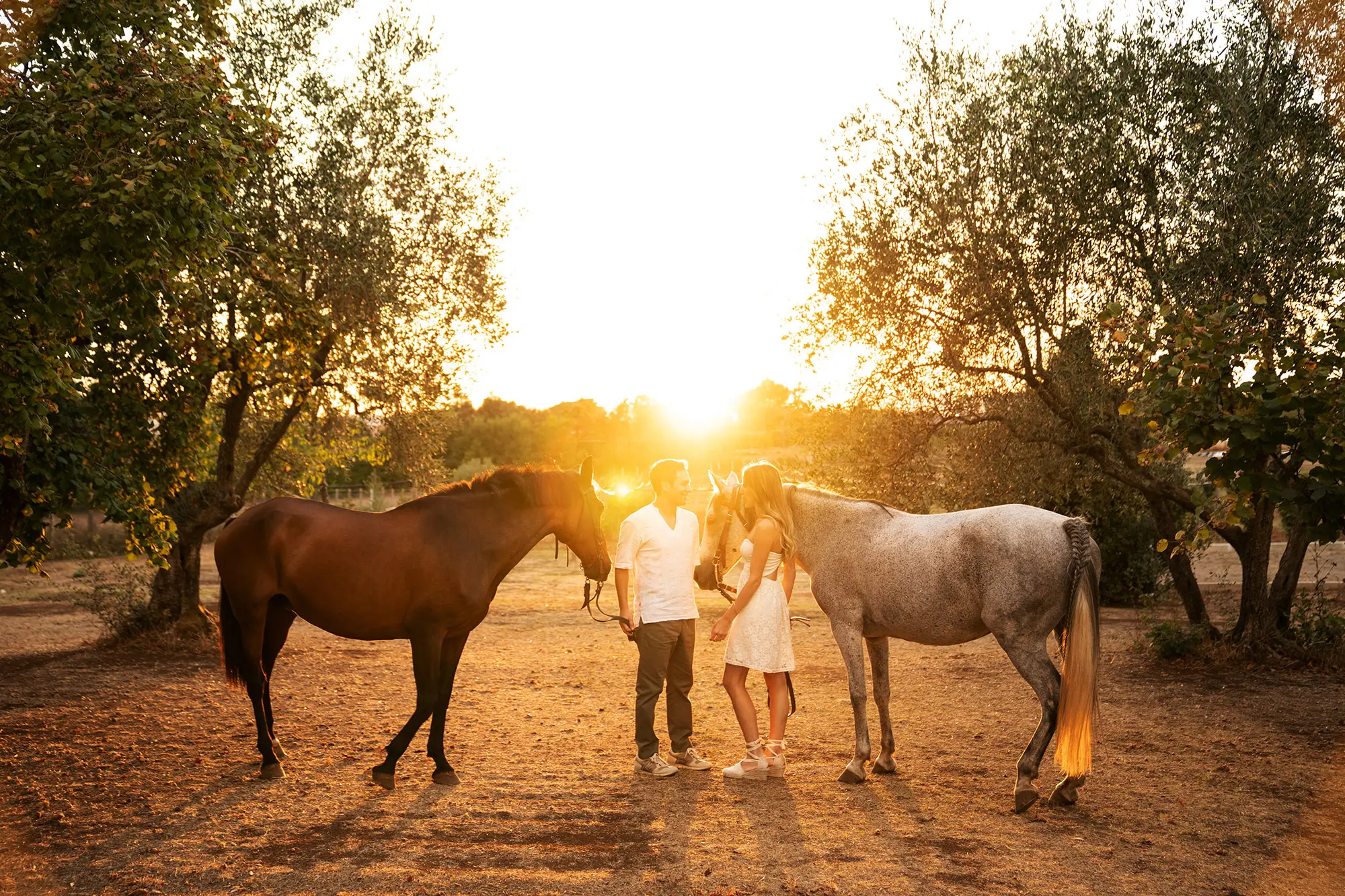 M V prematrimoniale roma 7