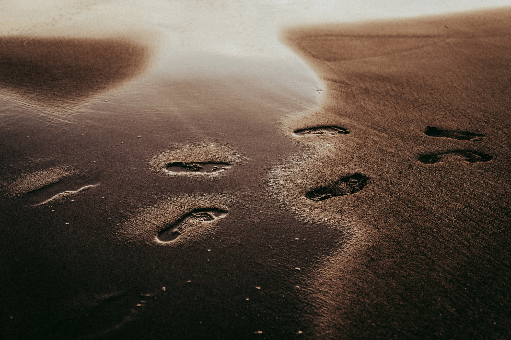 DSC07020 0024 entire 738