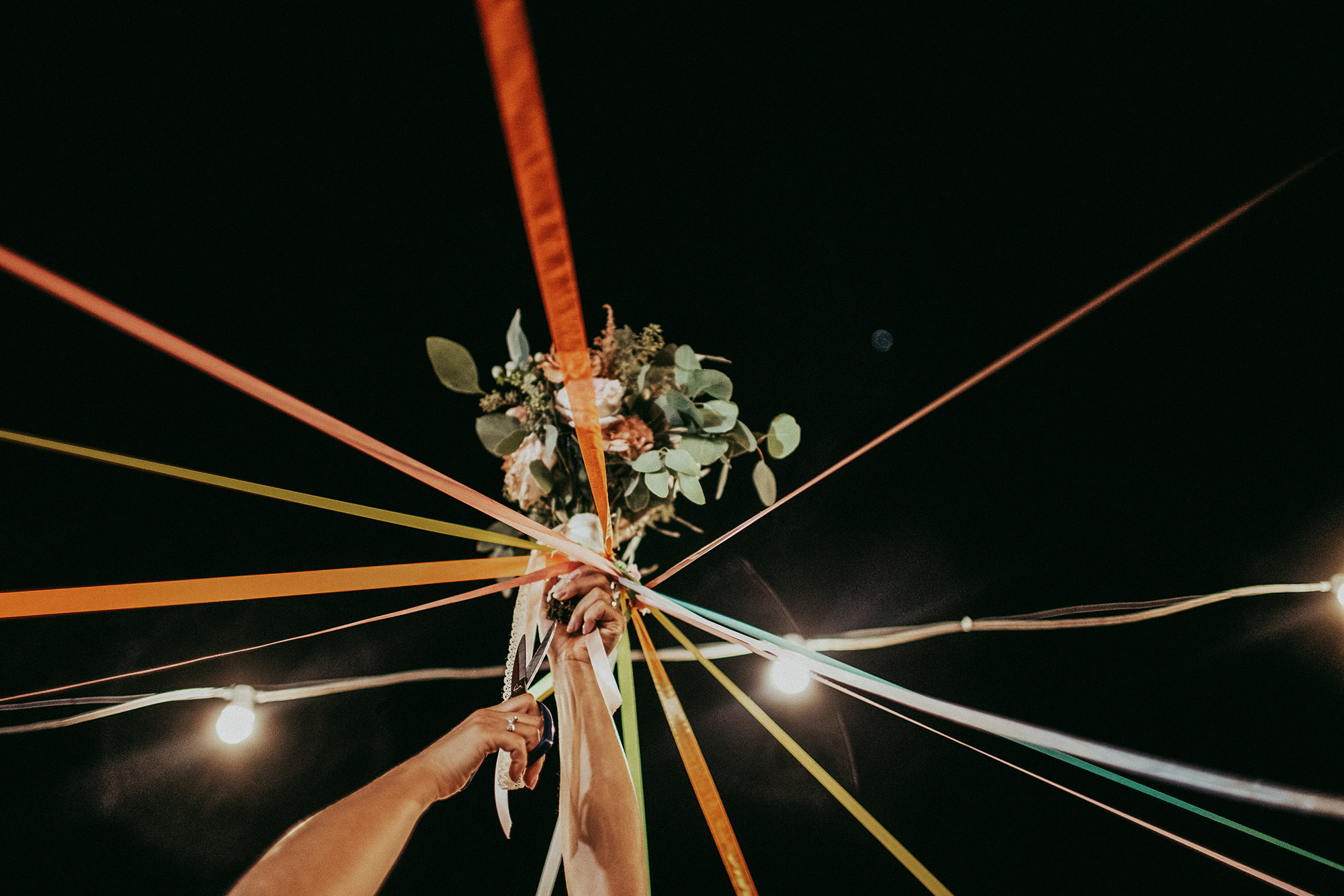 entire 107 0005 entire 1541