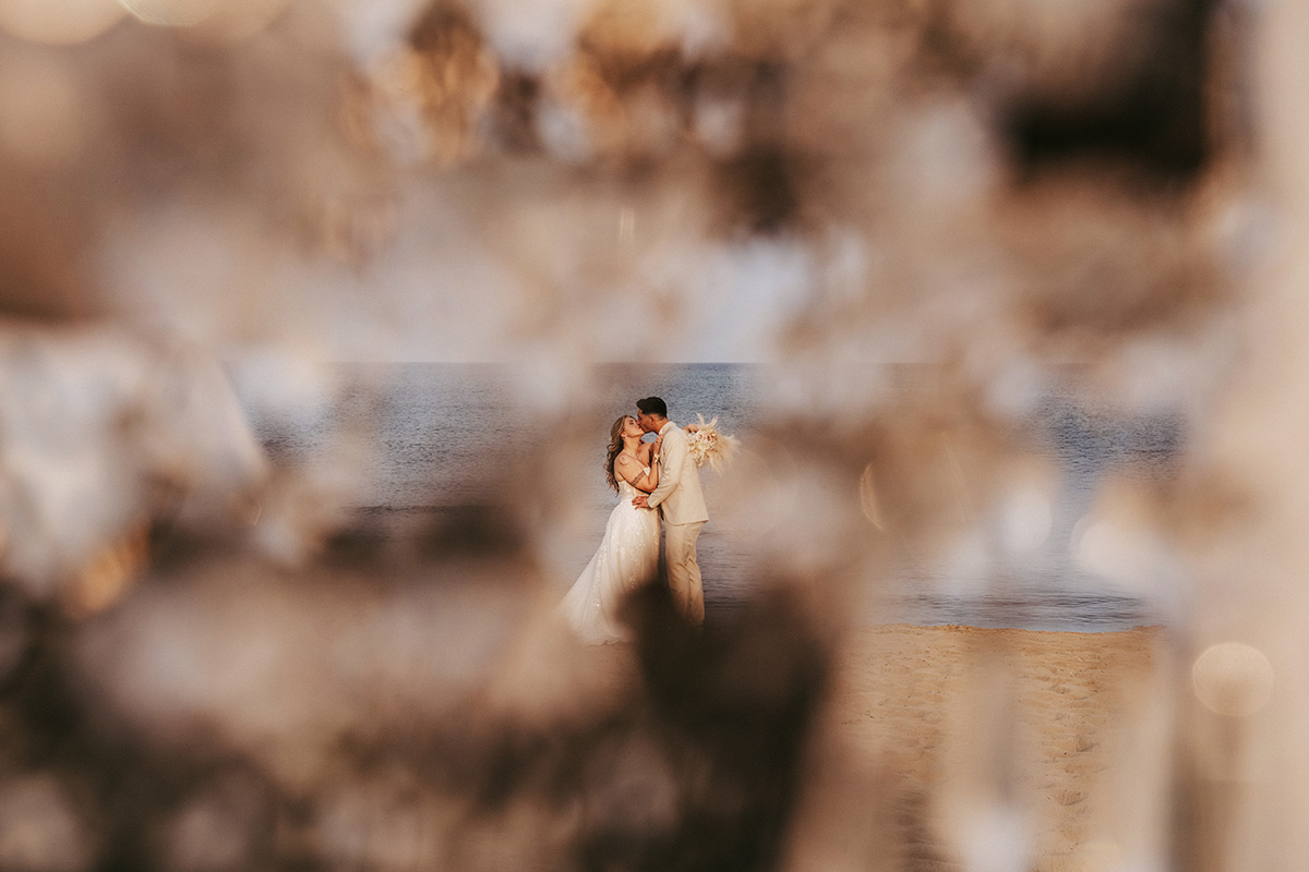 entire 30 0024 entire 851 copia