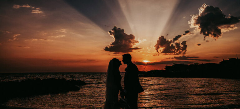 entire 396 0024 entire 660 1