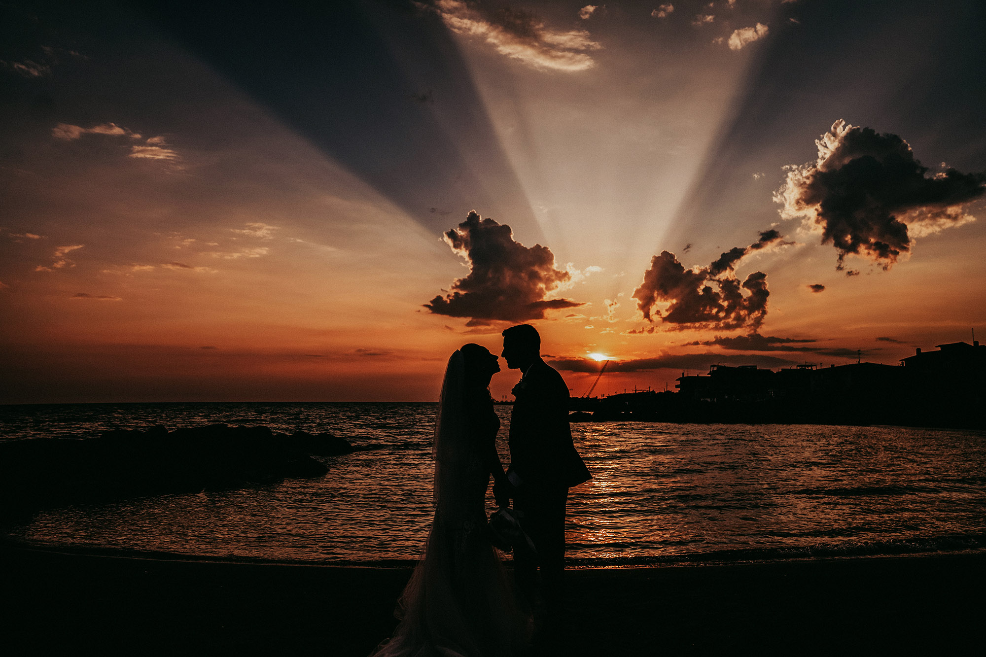 entire 396 0024 entire 660