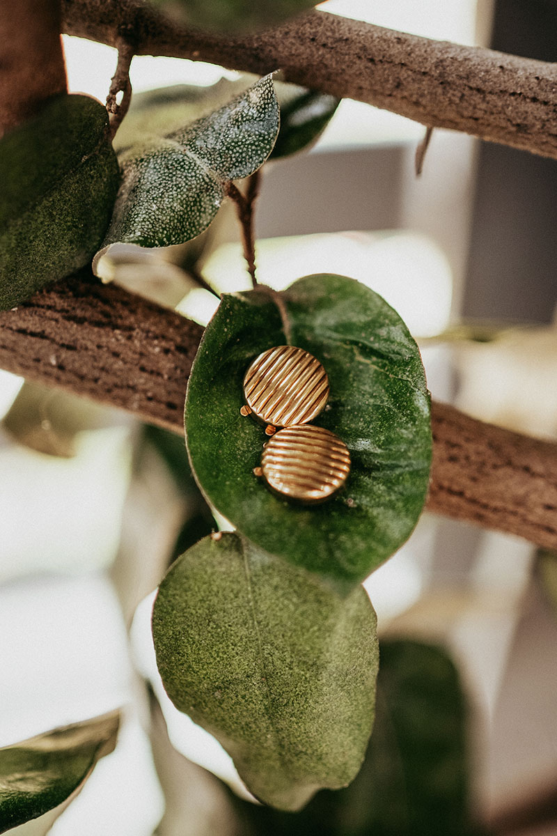 entire 57 0007 entire 2008