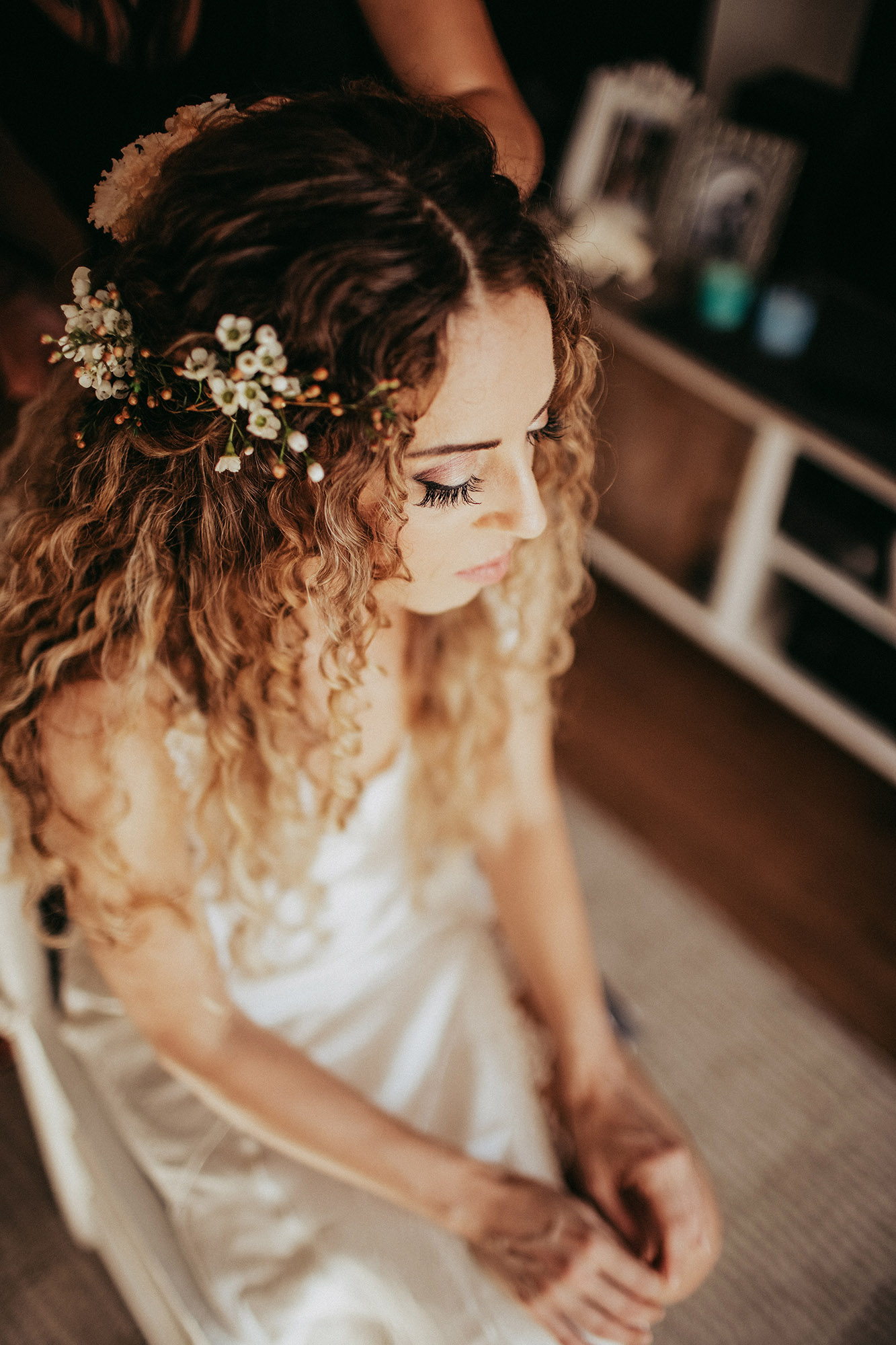 entire 83 0009 Sfondo