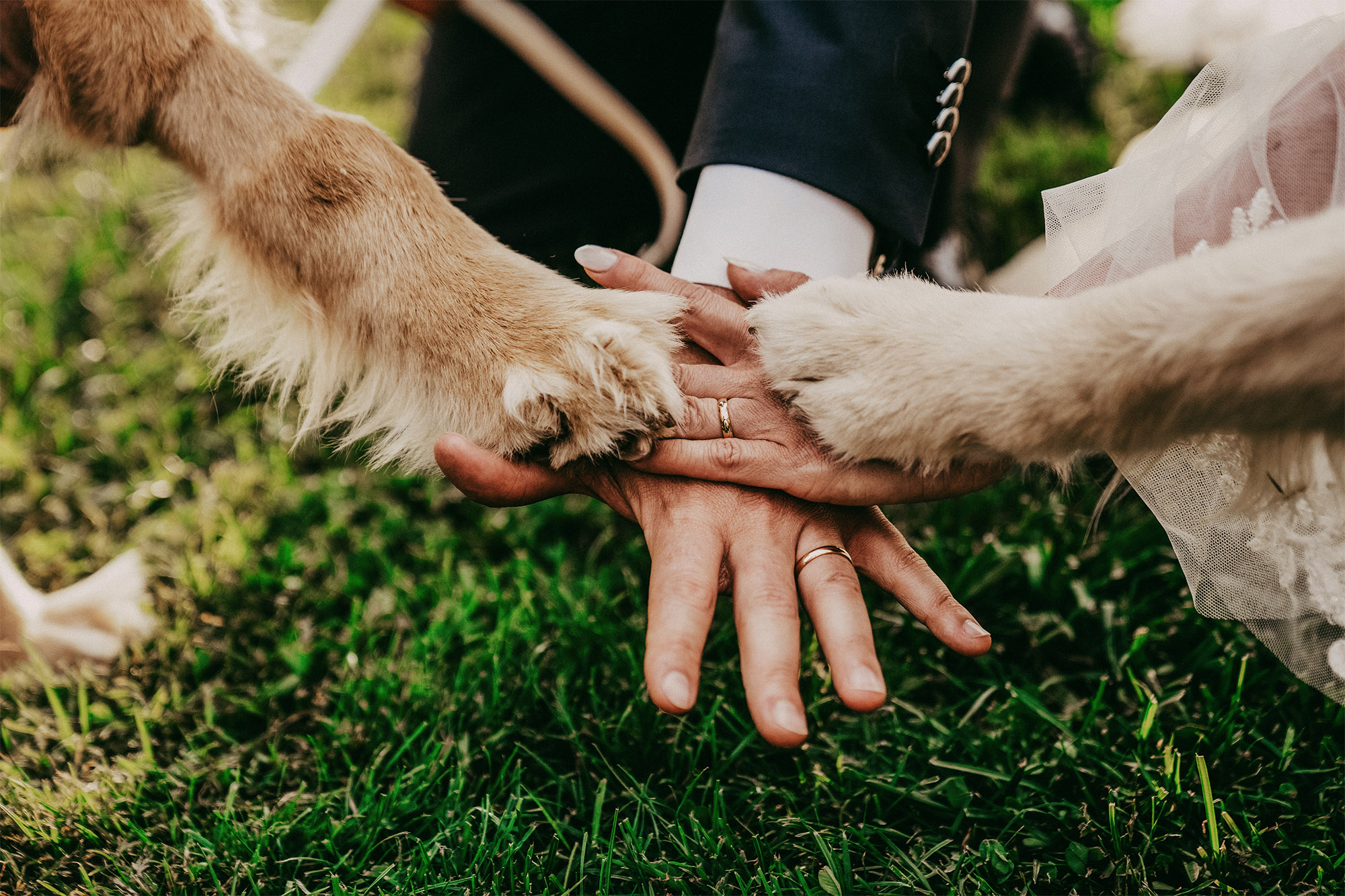 tenuta di polline fotografo roma 18